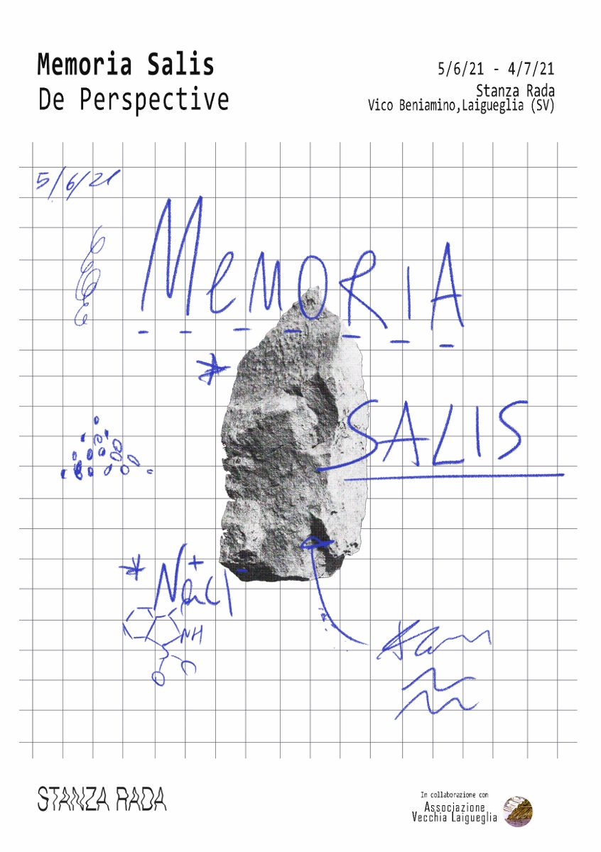 De Perspective Memoria Salis